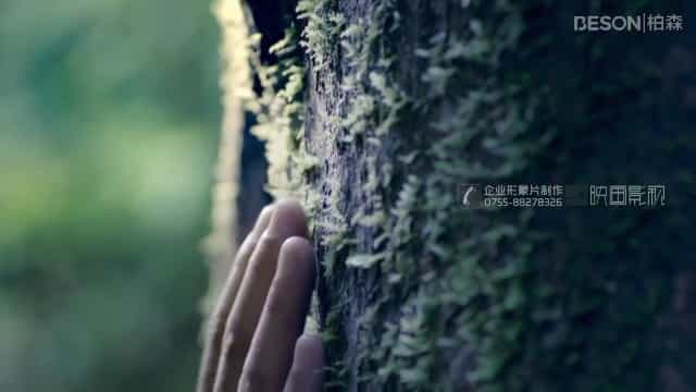 深圳拍攝品牌宣傳片 - 深圳映畫傳媒