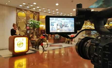 深圳企業(yè)宣傳片拍攝 - 深圳映畫傳媒